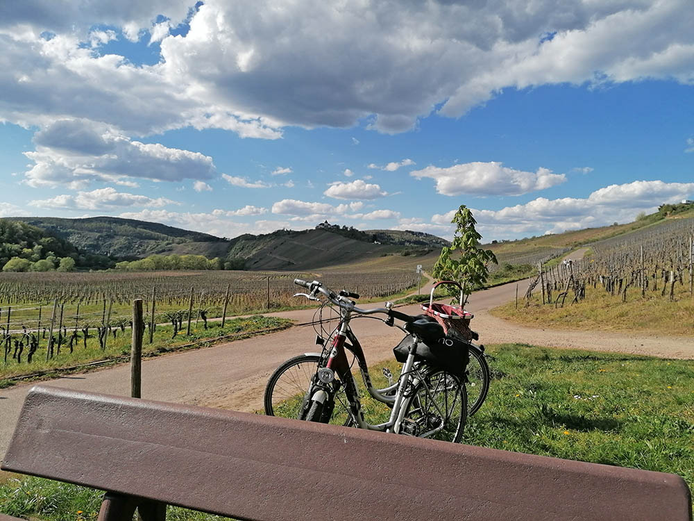 Weingut Schuh-Sausen Reil Mosel Straßenfest