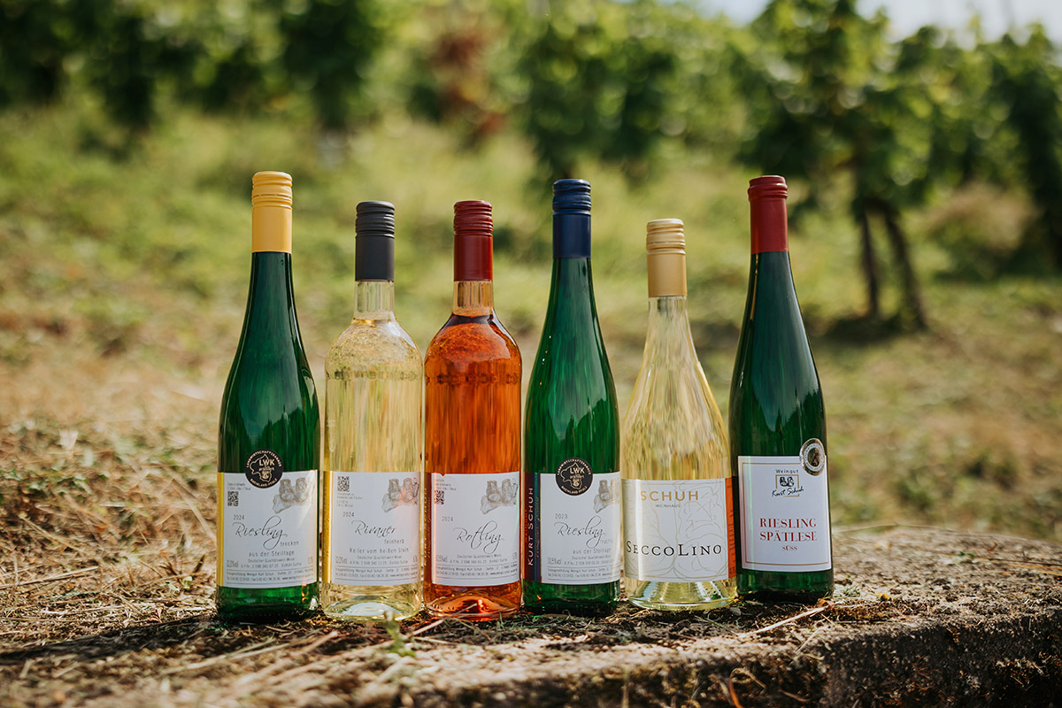 Weingut Schuh-Sausen Reil Mosel Wein Vater und Sohn