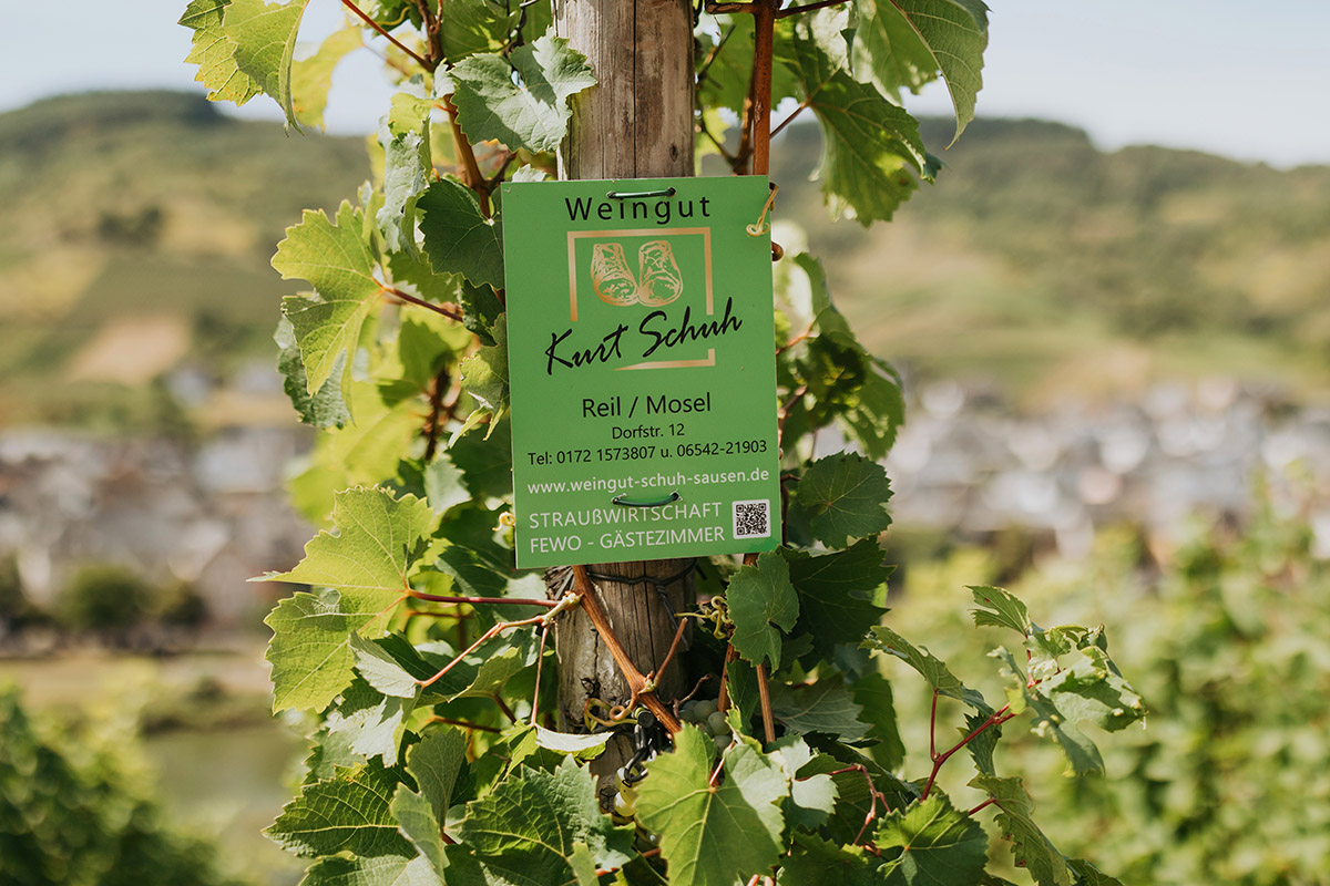 Weingut Schuh-Sausen Reil Mosel 